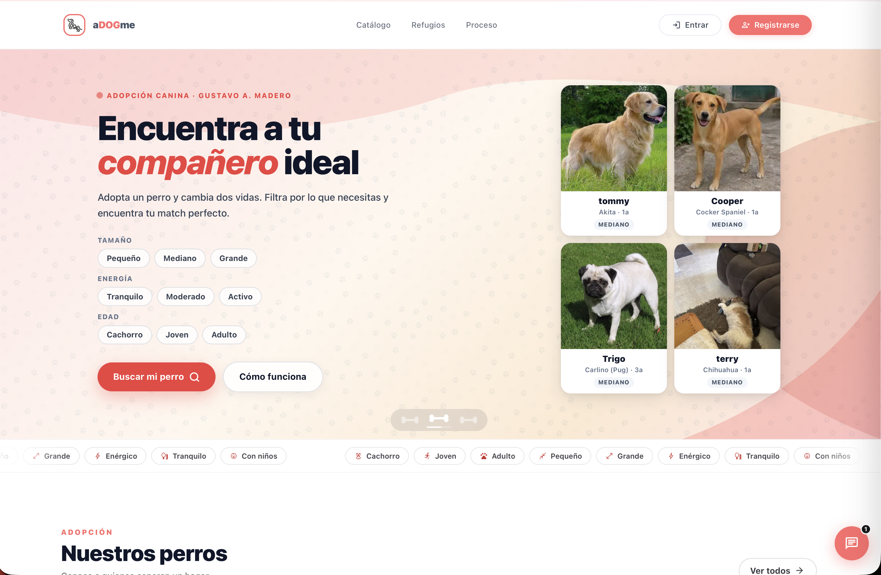 Cover de aDOGme | Plataforma Inteligente de Adopción
